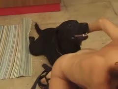 In dog porn, the brunette got slapped.